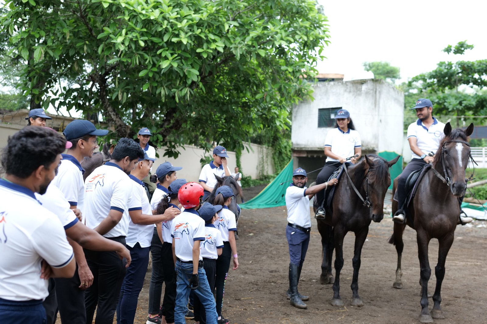 Horse Riding Lessons