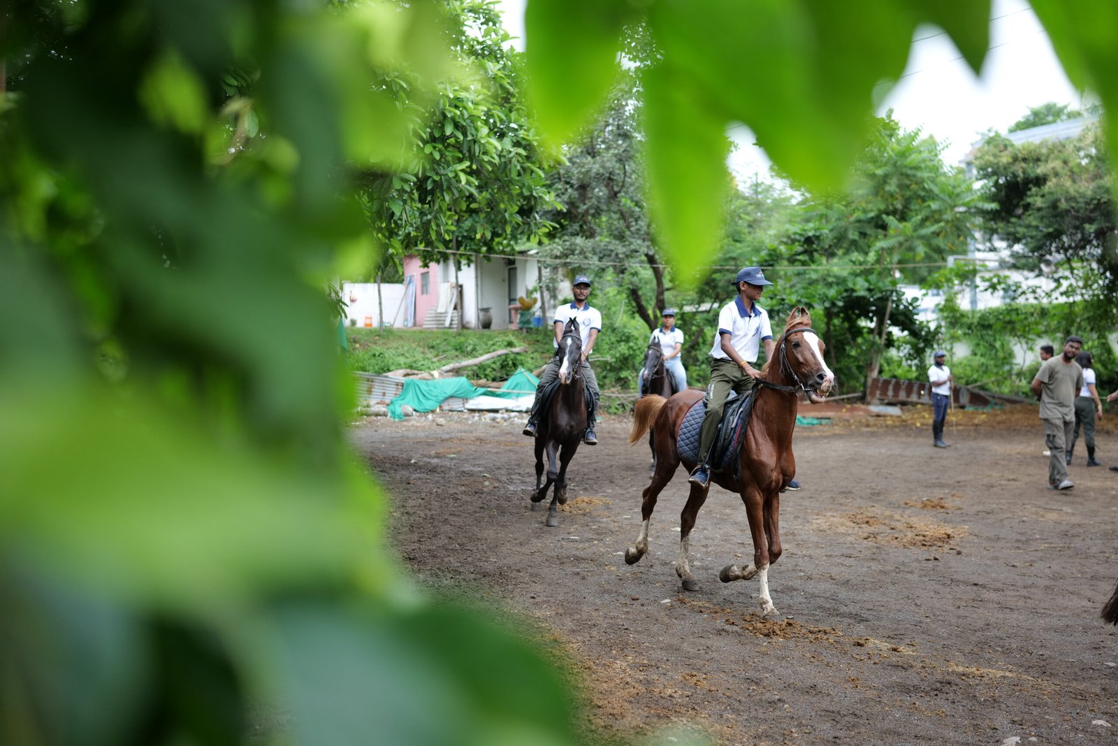 Riders Trotting