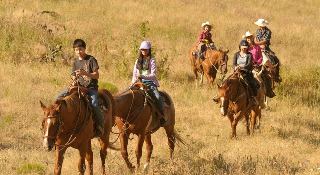 India's no. 1 horse riding academy