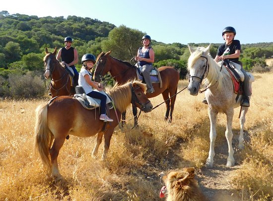 central India's best horse riding academy
