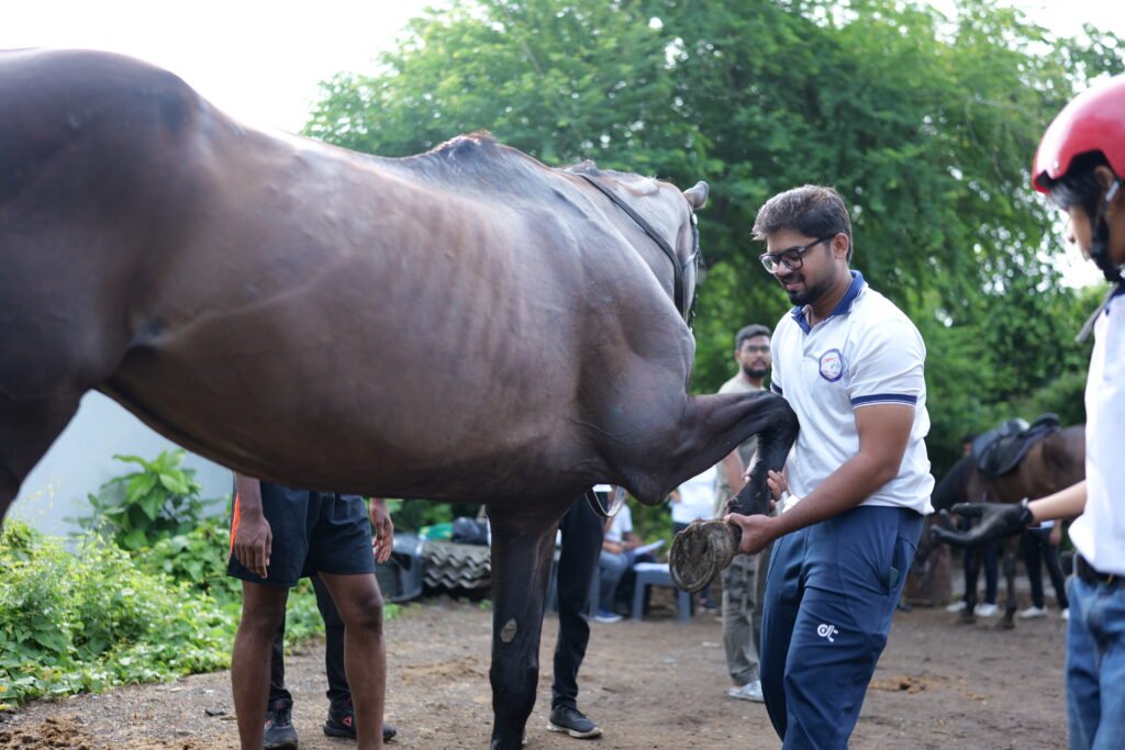 summer-camp-horse-riding-nagpur